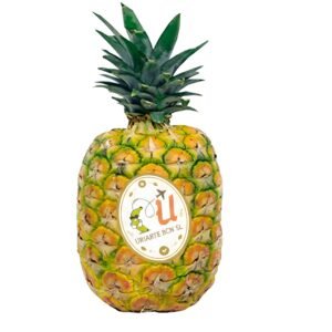 Piña golden