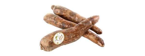 Yuca