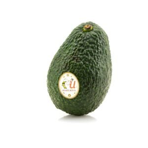 Aguacate