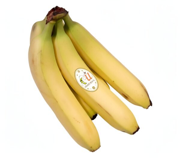 Banana ecuatoriana