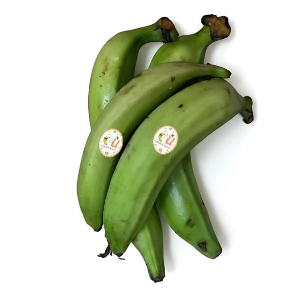 Platano macho